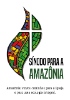 Significato del logo del Sinodo per l’Amazzonia